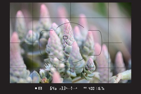 Print https://www.karacasulu.com/wp-content/uploads/2020/01/d780_electronic_range_finder-original.jpg