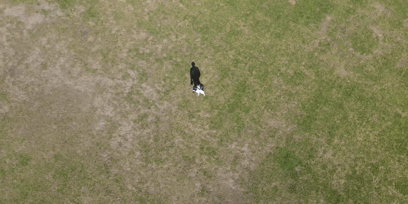 lito-12 https://www.karacasulu.com/wp-content/uploads/lito-12.gif