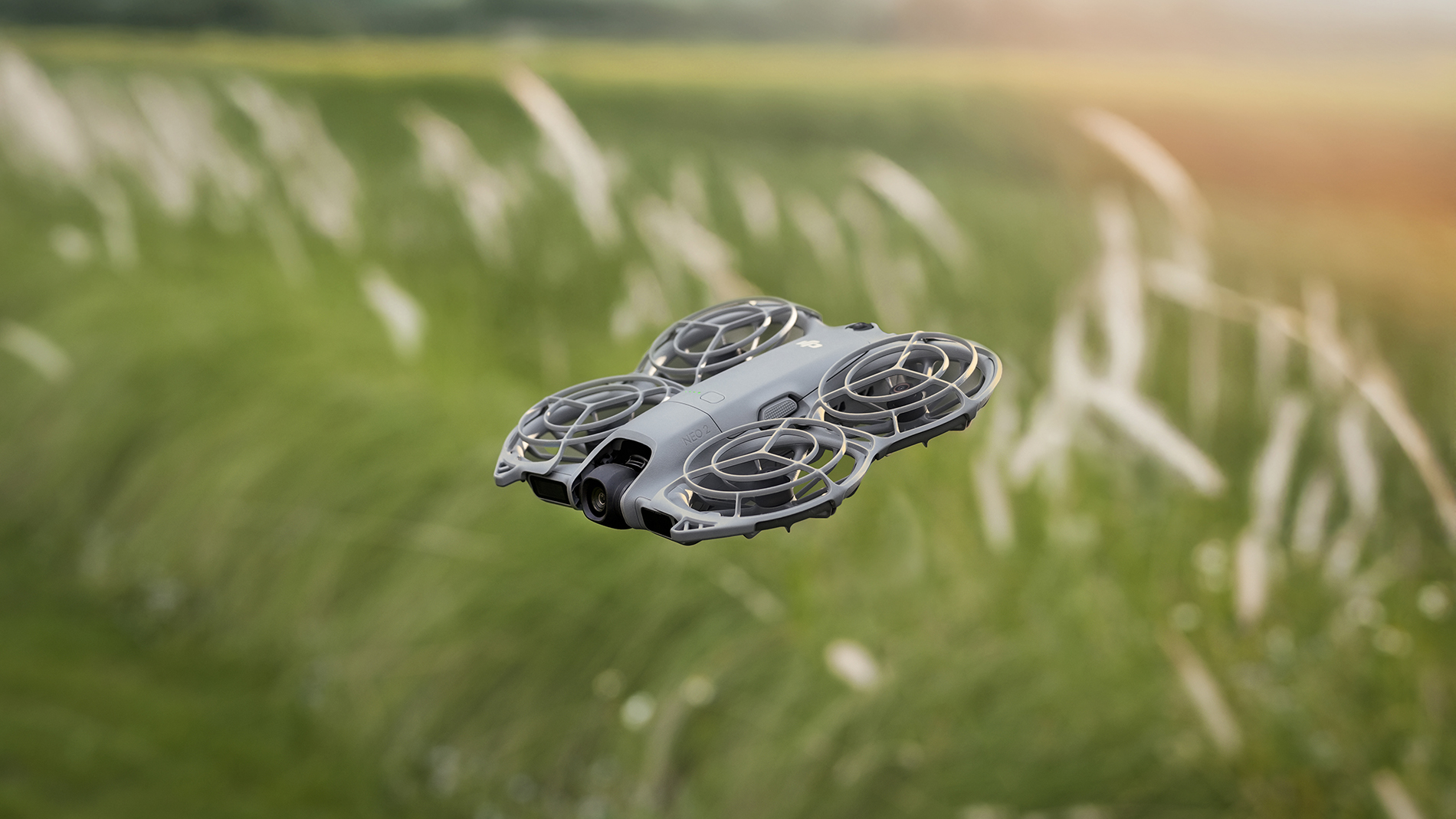 neo2-24 https://www.karacasulu.com/wp-content/uploads/neo2-24.jpg